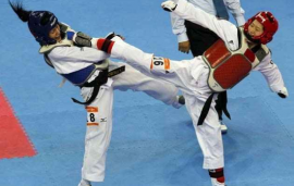 gallery/screenshot_2018-07-27-taekwondo-india-google-search